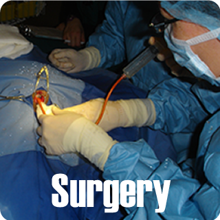 Surgery